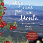 Algo más que un monte