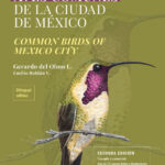 Guía de aves comunes de la ciudad de México