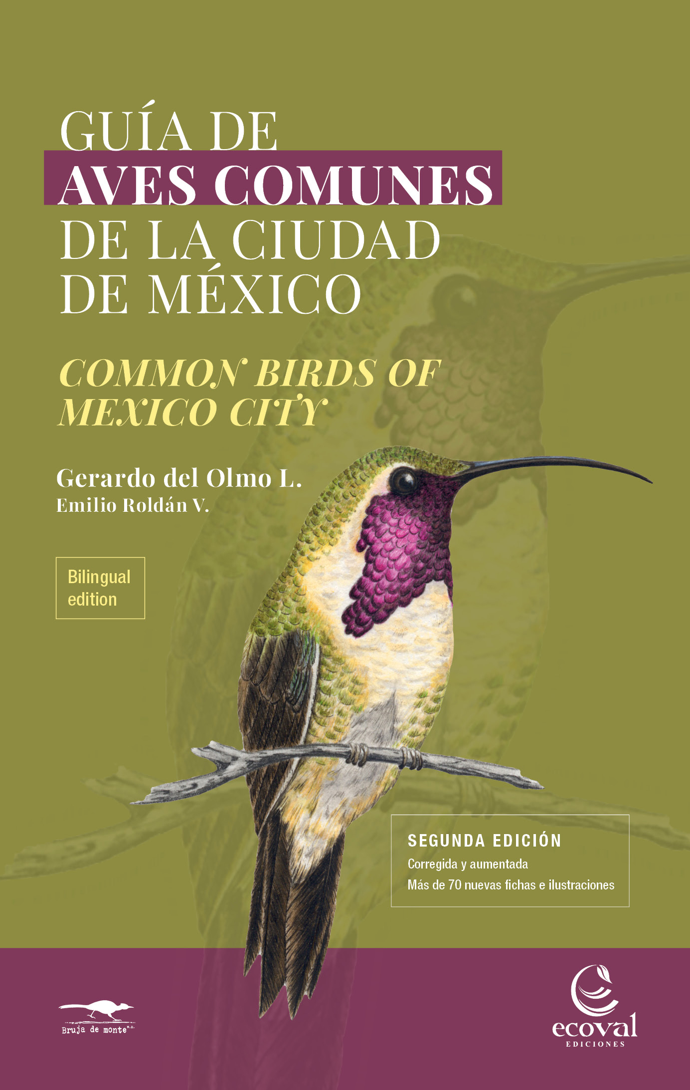 Tapas Aves Comunes de la Ciudad de México-Docuprint