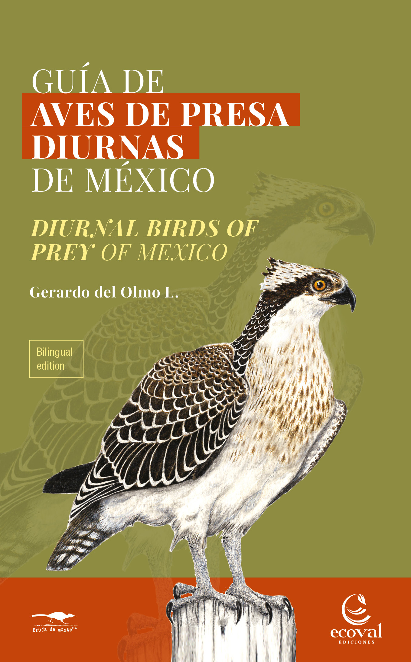 Tapas Aves de Presa Diurnas de México