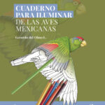 Cuaderno para iluminar de las aves mexicanas
