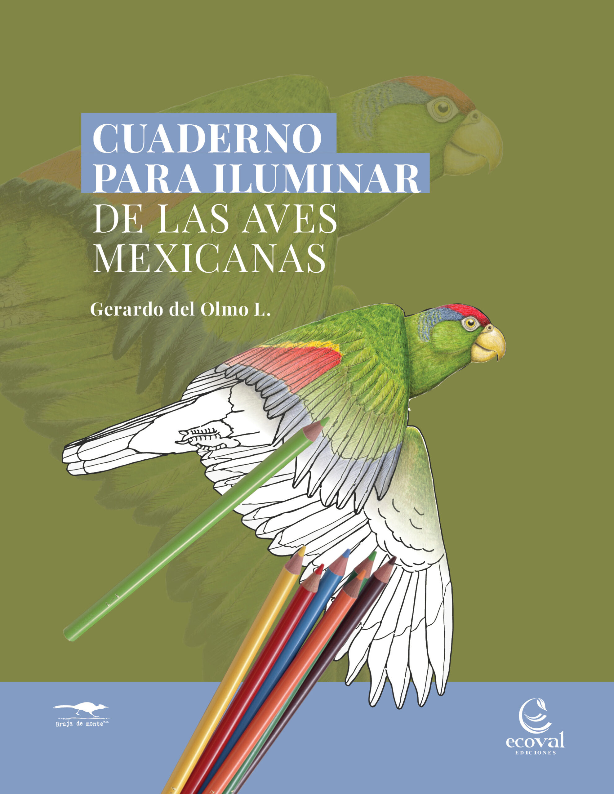Tapas Cuaderno de Iluminar AVES DE MEXICO