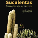 Las Plantas Suculentas