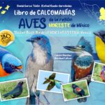 Libro de calcomanías. Aves de la región noreste de México/ Sticker Book. Birds of Northeastern México
