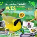 Libro de calcomanías. Aves de la región noroeste de México/Sticker Book. Birds of Northweastern México