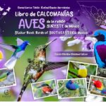 Libro de calcomanías. Aves de la región sureste de México/  Sticker Book. Birds of Southeastern México