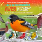 Libro de calcomanías. Aves de la península de Yucatán/ Sticker Book. Birds of The Yucatan Peninsula